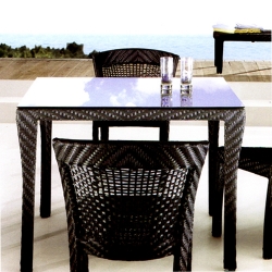 Table-Dinning-Table-2241